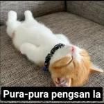timepass