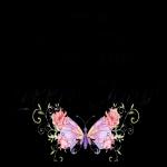 sweet dream