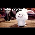 Стикеры