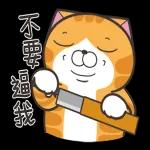 白爛貓51☆腦有動☆