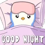 buenas noches 