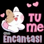 amor mio