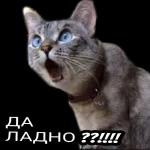 АЛЁНУШКА 3