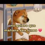 Luis martines 