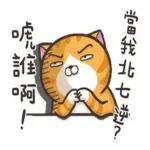 抱歉這麼晚才回你～～