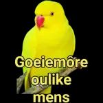 goeie more
