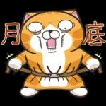 白爛貓45☆打工仔☆