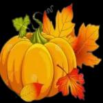 ICH KANN DAS WOCHENENDE SCHON RIECHEN