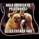 Te tengo un chisme 2 HARLEYSTIKKERS 