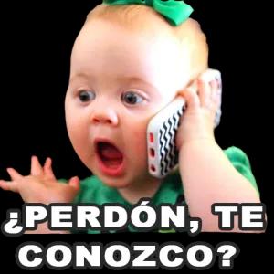 ¿PERDÓN, TE CONOZCO? - getsticker.com