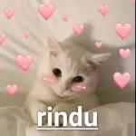 sampai hati kau
ร
1