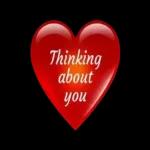 good night