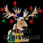 enjoy your Christmas!