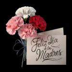 día de la mamá 
