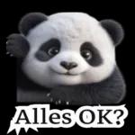 süße Panda❤️😍