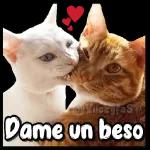 @Vickyfas Dame un beso