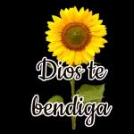 FELIZ Cumpleaños Amiga