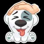 Spotty
                            Andrey Yakovenko