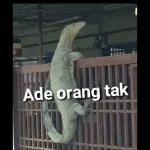 SAMPAI BILA MELAYU NAK KENA TIPU?