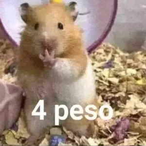 BqGfdQ