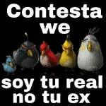 Contesta we soy tu real no tu ex