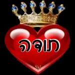 הורדה חינם, עדכונים יומיים, אין צורך בכניסה