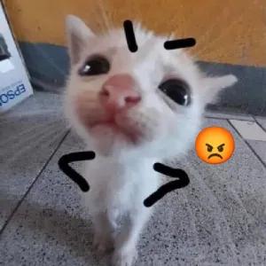 pRynlM