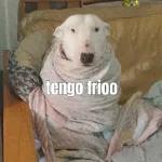 no VOY A DAR DECLARACIONES