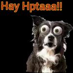 Hay Hptaaa!! 