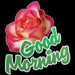 Have a good day!
