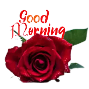 Good Dornin - getsticker.com