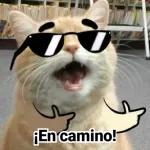 ESTO SE VA A PONER FEO