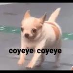 Besitos para mi amor