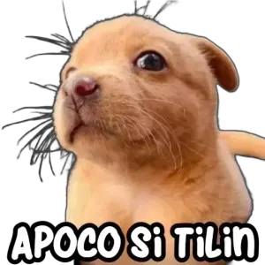 0xfsjpm