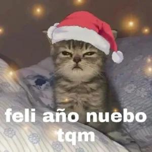 JNp3dy