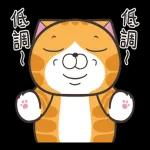 白爛貓51☆腦有動☆