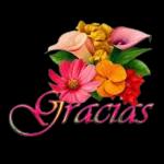 01.21 Pegatinas recomendadas