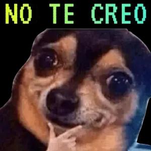 zyx4vo8
