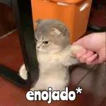 enojado*