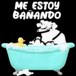 chicharrón