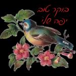 מדבקות
