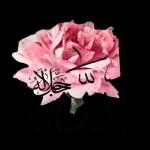 اصلاا عااادي