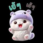 แมวฮิปโปสุดน่ารัก : คุยกันทุกวัน(BIG)