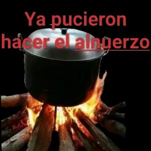7466VY