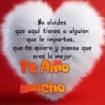 No olvides que aquí tienes a alguien que le importas, que te quiere y piensa que eres lo mejor. Te Amo mucho