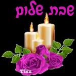 Seal kafadan 27PY INDYD p"NeN