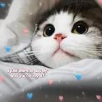 cute animal