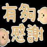 圓臉小美◎療癒的熊熊  