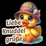 Schönen Dienstag 