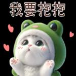 青蛙喵喵♡實用日常